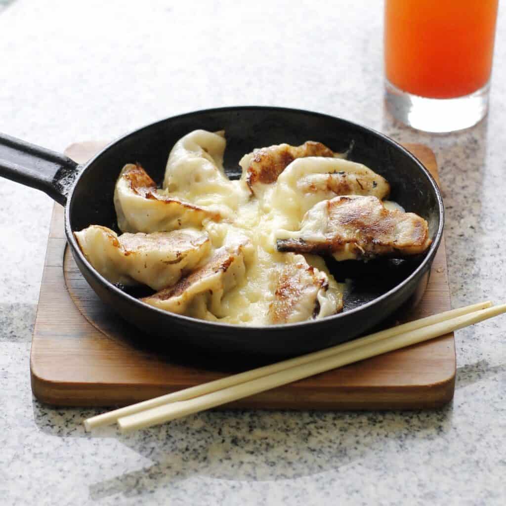 Level up your gyoza dish with cheese!