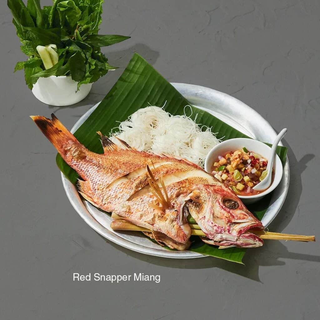 Red snapper miang