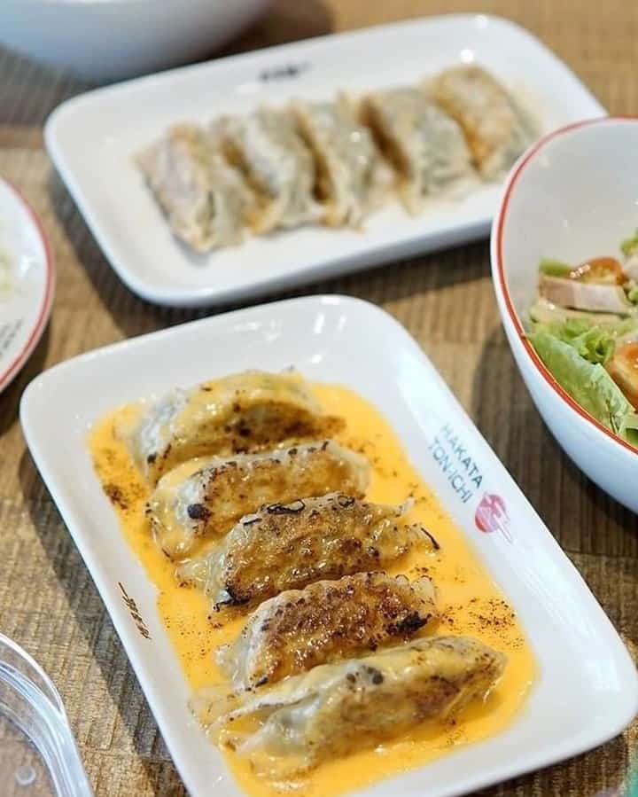 cheese gyoza