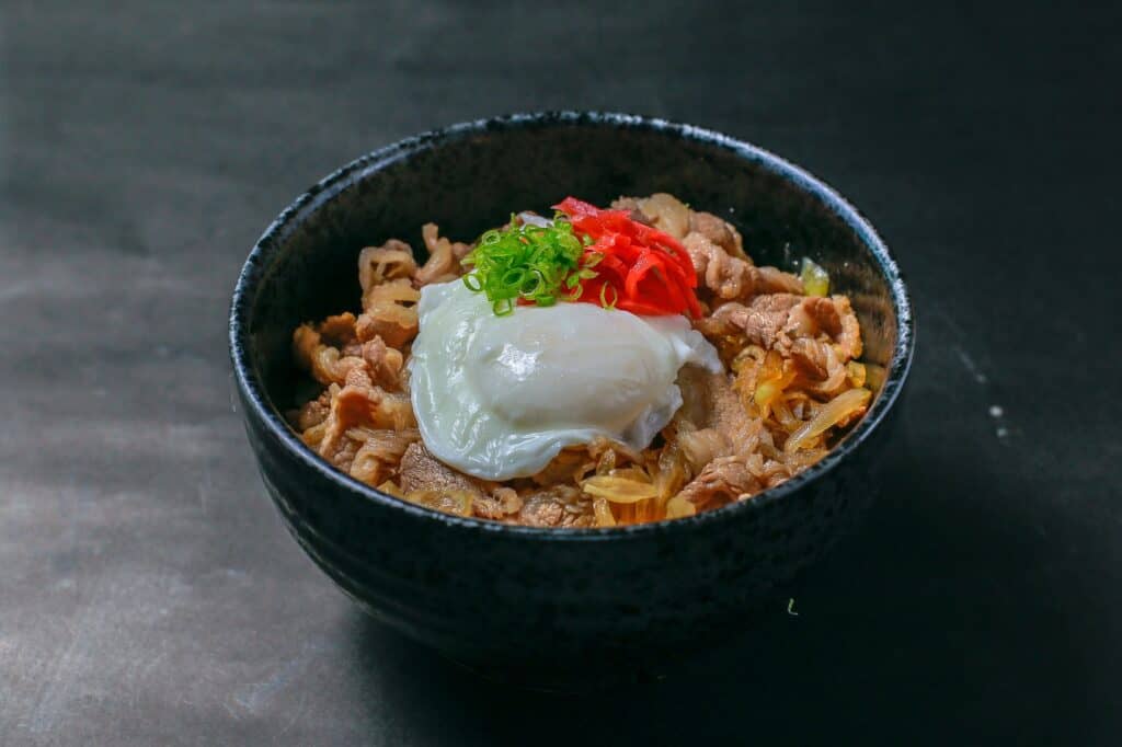 gyudon beef rice bowl